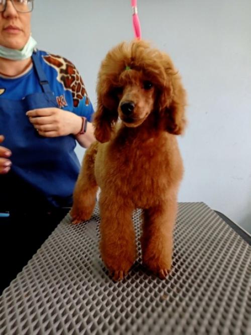 Как вам преображение? 03