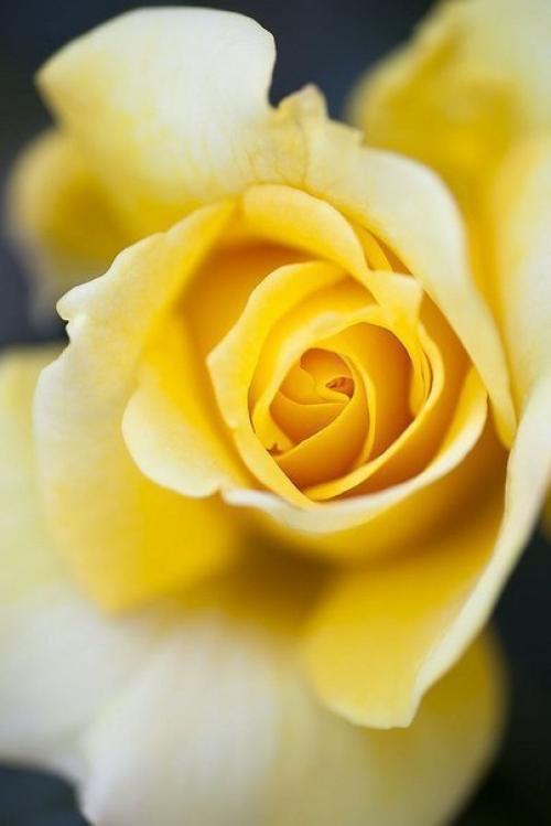 Сказочного настроения?  , Ласковых мужских объятий? 02