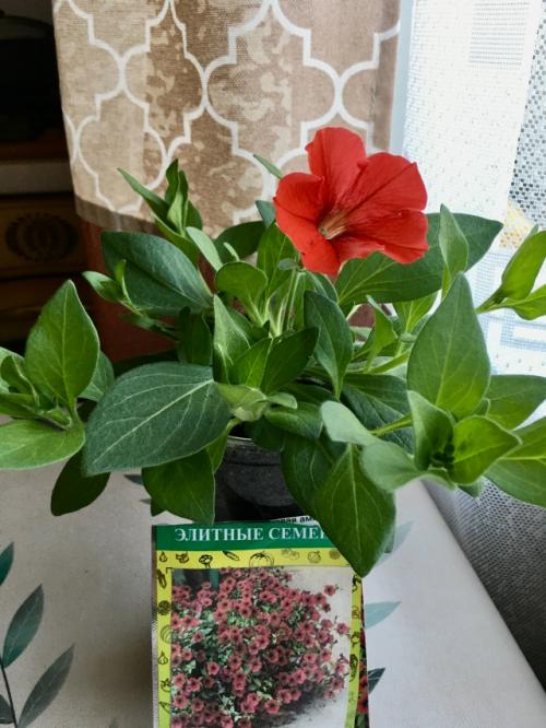 А вот и она - легкая волна. 01