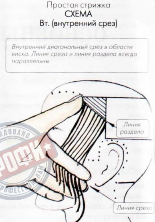 Основные понятия стрижки? 03 Основные понятия стрижки? 03