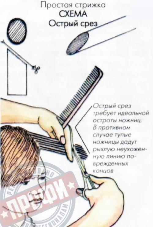 Основные понятия стрижки? 01 Основные понятия стрижки? 01