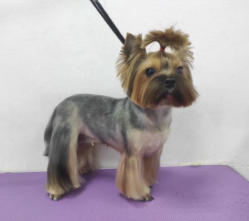 Как вам рубрика До После? 01