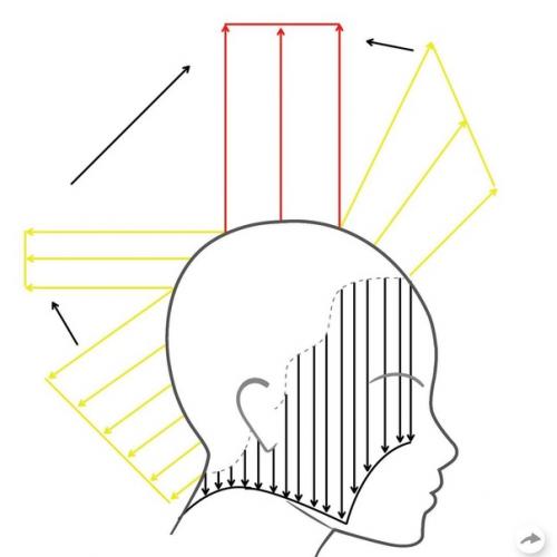 Схема стрижки от Marcus Curth. 03 Схема стрижки от Marcus Curth. 03