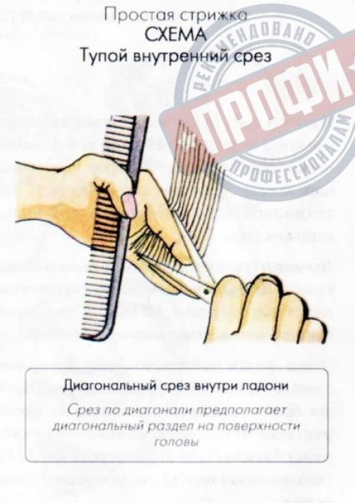 Основные понятия стрижки? 04 Основные понятия стрижки? 04