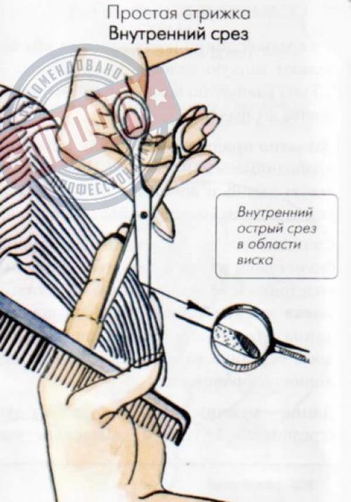 Основные понятия стрижки? 06 Основные понятия стрижки? 06