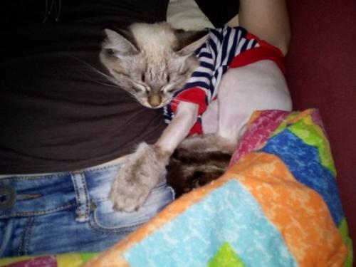 Кто о таком счастье мечтал? 01