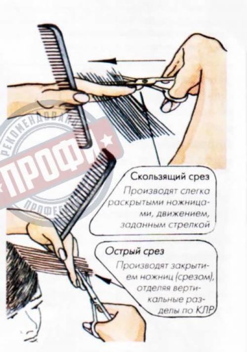 Основные понятия стрижки? 07 Основные понятия стрижки? 07