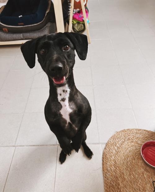 К нам забегала за нарядом невероятно милая - бусинка. 04