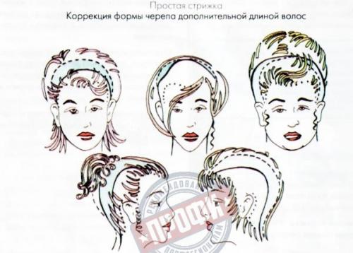 Основные понятия стрижки? 08 Основные понятия стрижки? 08