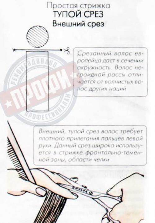 Основные понятия стрижки? 05 Основные понятия стрижки? 05