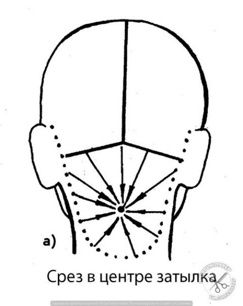 Зона нижнего затылка - достаточно сложный отдел головы в плане моделирования стрижки. 01