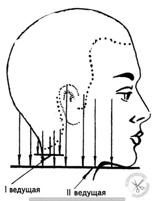 Зона нижнего затылка - достаточно сложный отдел головы в плане моделирования стрижки. 05