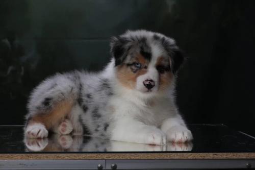 Очень часто мы встречаем запрос …… пришлите фото Домашние и без фотошопа. 01 Очень часто мы встречаем запрос …… пришлите фото Домашние и без фотошопа. 01