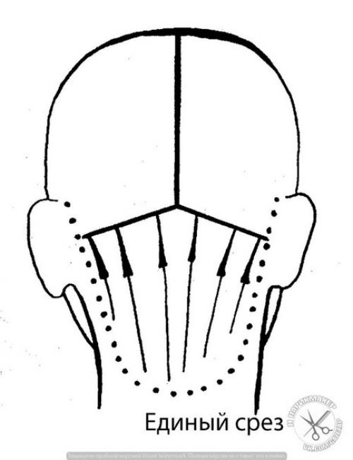Зона нижнего затылка - достаточно сложный отдел головы в плане моделирования стрижки. 04