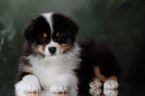 Очень часто мы встречаем запрос …… пришлите фото Домашние и без фотошопа. 02 Очень часто мы встречаем запрос …… пришлите фото Домашние и без фотошопа. 02