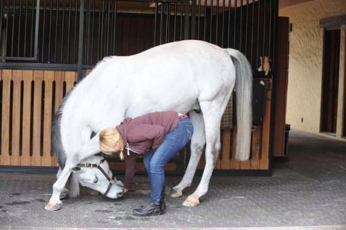 Недавно мы рассказывали про грума Кента фаррингтона и лошадей, которые находятся у нее в работе. 03 Недавно мы рассказывали про грума Кента фаррингтона и лошадей, которые находятся у нее в работе. 03