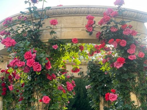 Сквер Каллифея в геленжике. 08 Сквер Каллифея в геленжике. 08