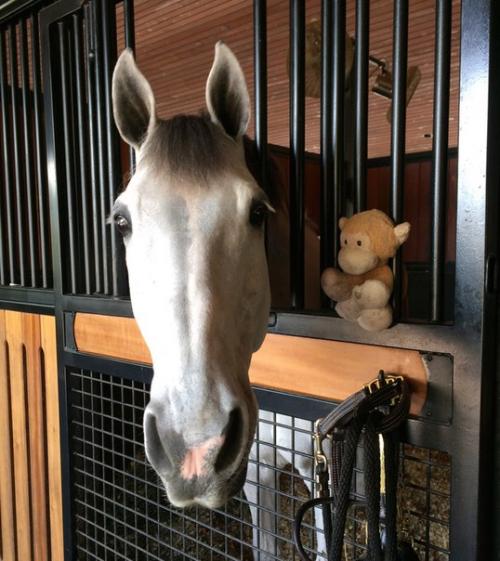 Недавно мы рассказывали про грума Кента фаррингтона и лошадей, которые находятся у нее в работе. 04 Недавно мы рассказывали про грума Кента фаррингтона и лошадей, которые находятся у нее в работе. 04