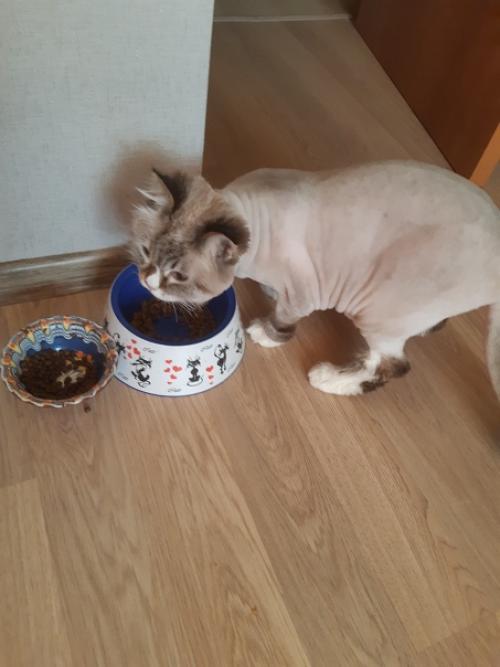 Бусинка - сама элегантность. 01