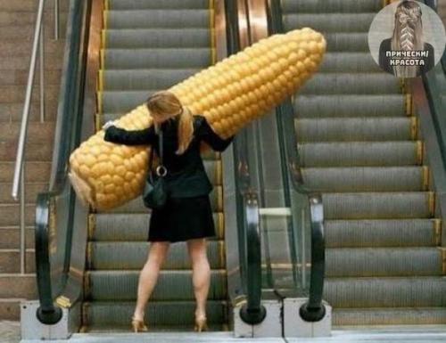 На этих фото больше загадок, чем объяснений. 05