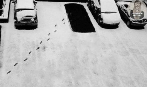 На этих фото больше загадок, чем объяснений. 04