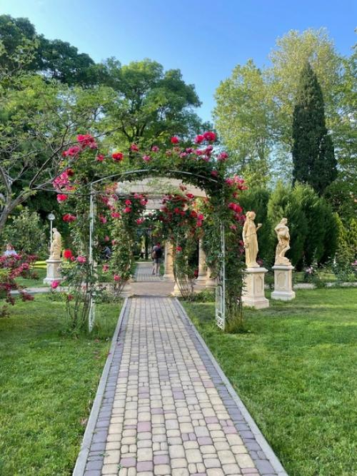 Сквер Каллифея в геленжике. 07 Сквер Каллифея в геленжике. 07