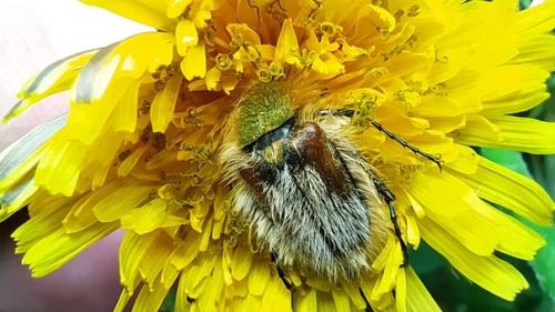 Лёгкое похолодание принесло мысли о том, что зря наши предки потеряли мех, который мог бы нас согреть. 02 Лёгкое похолодание принесло мысли о том, что зря наши предки потеряли мех, который мог бы нас согреть. 02