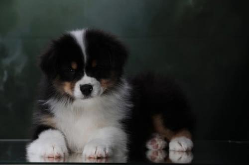 Очень часто мы встречаем запрос …… пришлите фото Домашние и без фотошопа. 03 Очень часто мы встречаем запрос …… пришлите фото Домашние и без фотошопа. 03