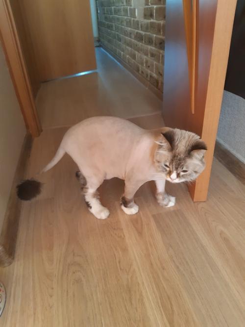 Бусинка - сама элегантность. 02