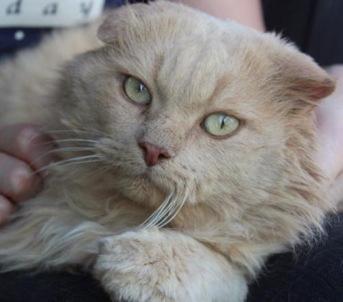 Обаятельный и привлекательный! 01