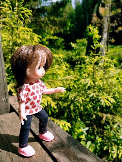 В нашей семье вот такая малышка появилась. 02