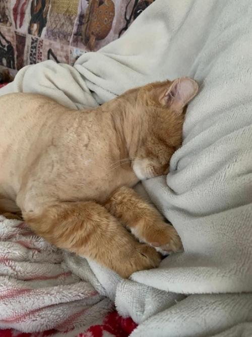 Хотела с вами поделиться вот чем. 01