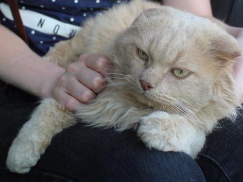 Обаятельный и привлекательный! 02