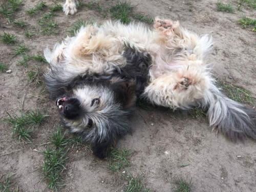 Счастливые истории приюта Доброта г. Брест. 01