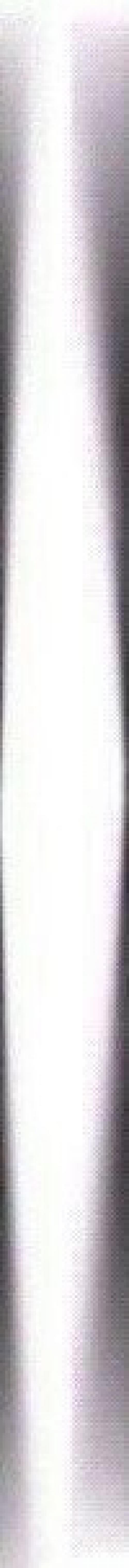 Сокол_и_чиж Артем анфиса. 02