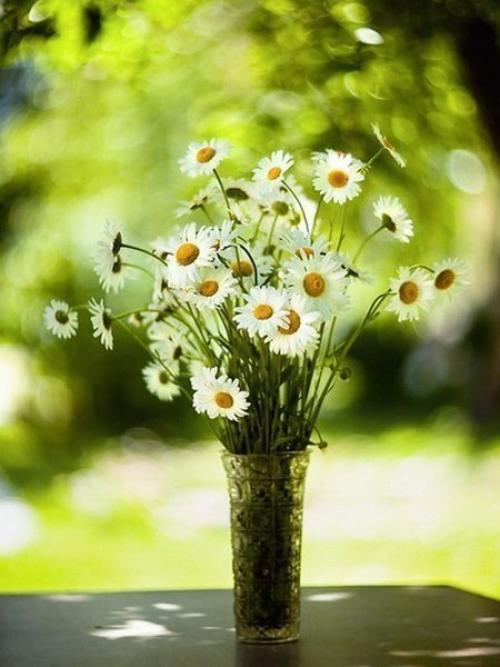 Мы ополаскиваем волосы травами. 05 Мы ополаскиваем волосы травами. 05