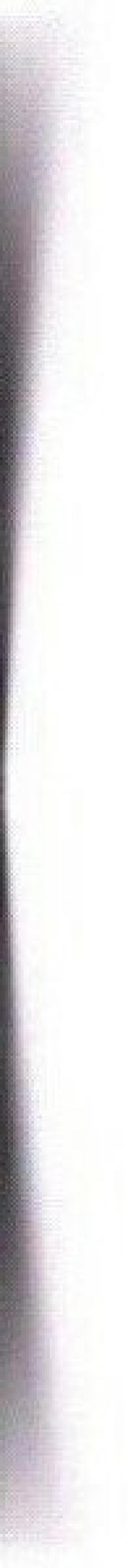 Сокол_и_чиж Артем анфиса. 04