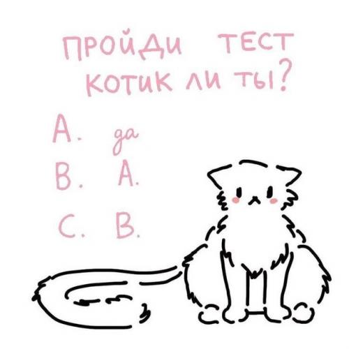 Я почти всех женских персов в голове Райли сделаю. 02 Я почти всех женских персов в голове Райли сделаю. 02