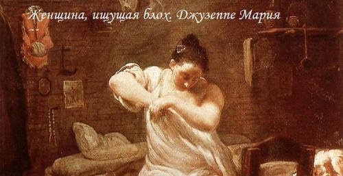 Как ходят в туалет чукчи в мороз. Как устроен туалет чукчи?