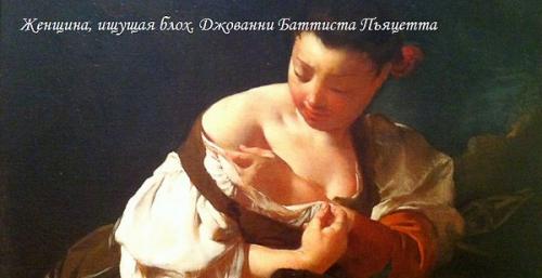 Как ходят в туалет чукчи в мороз. Как устроен туалет чукчи?