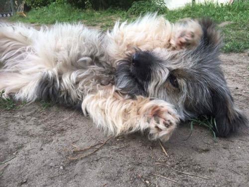 Счастливые истории приюта Доброта г. Брест. 02