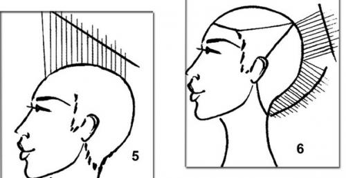 Урок деления волос по радиусам - стрижки с короткой макушкой. 03