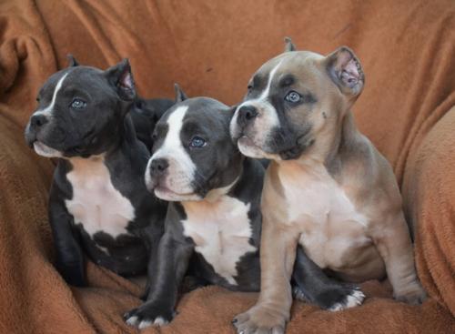 Нашим деткам 28. 01