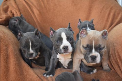 Нашим деткам 28. 02