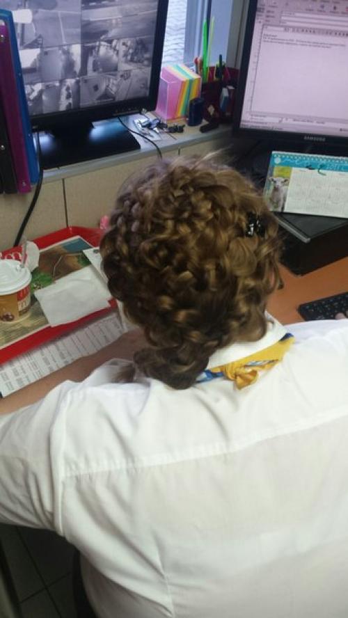 Фото от нашей подписчицы. 04