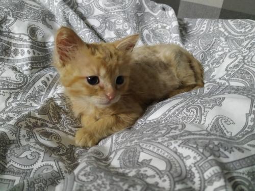 СПб. Знакомьтесь, это малюся! 02 СПб. Знакомьтесь, это малюся! 02