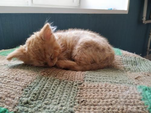 СПб. Знакомьтесь, это малюся! 03 СПб. Знакомьтесь, это малюся! 03