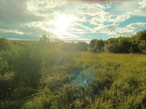 Отказалась от маникюра. 02