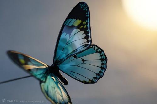 Канзаши - секретное оружие гейш. 04