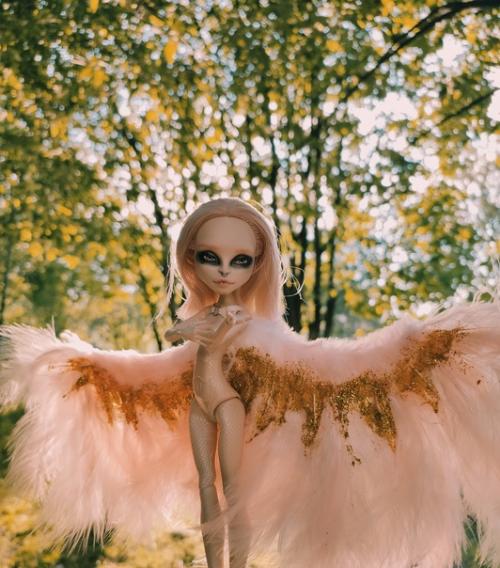 Г. череповец, отзывы есть. 04